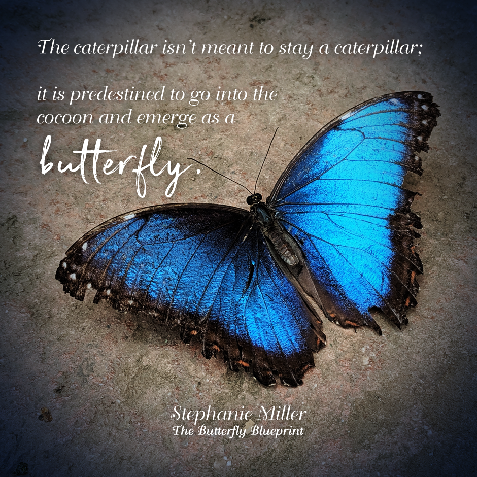 Miller Butterfly Blueprint